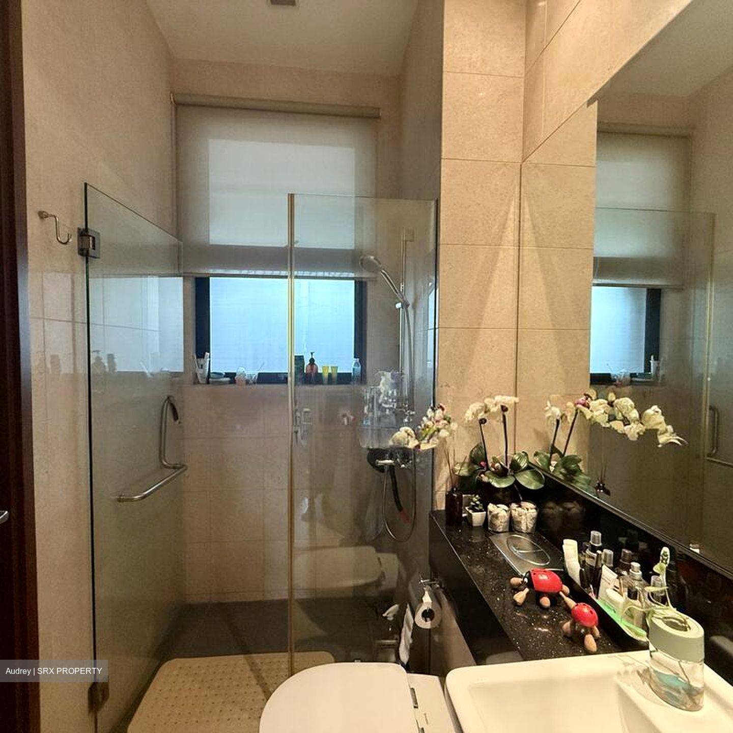 NOVENA RISE (D11), Semi-Detached #498821041